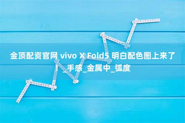 金顶配资官网 vivo X Fold5 明白配色图上来了！_手感_金属中_弧度