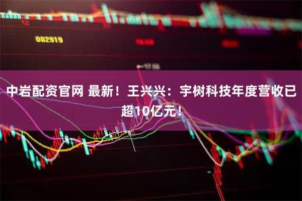 中岩配资官网 最新！王兴兴：宇树科技年度营收已超10亿元！