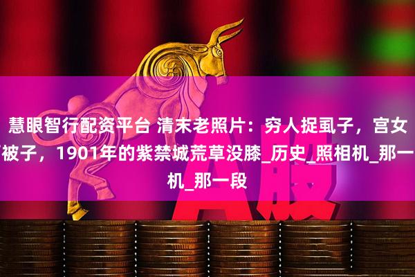 慧眼智行配资平台 清末老照片：穷人捉虱子，宫女晒被子，1901年的紫禁城荒草没膝_历史_照相机_那一段