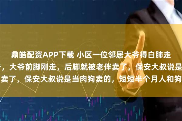 鼎皓配资APP下载 小区一位邻居大爷得白肺走了，养了13年的哈士奇，大爷前脚刚走，后脚就被老伴卖了，保安大叔说是当肉狗卖的，短短半个月人和狗都没了